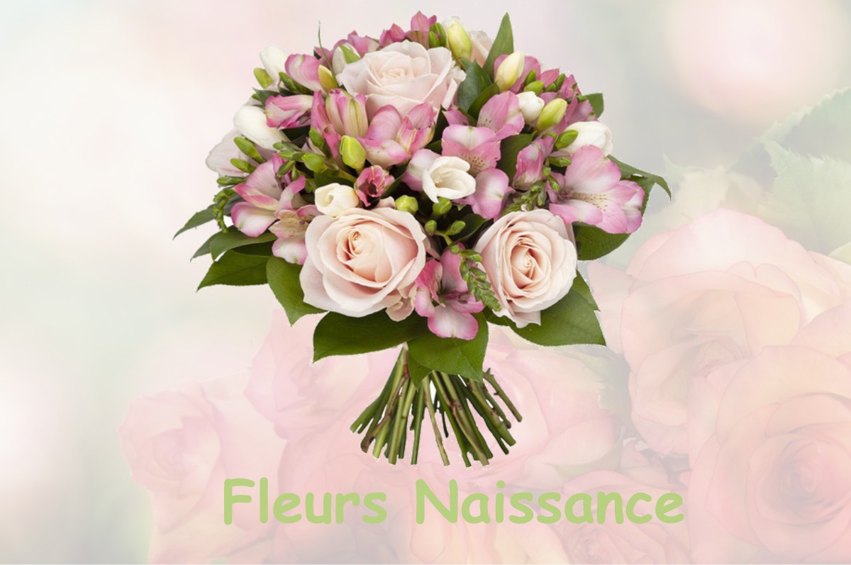 fleurs naissance TRAMOLE