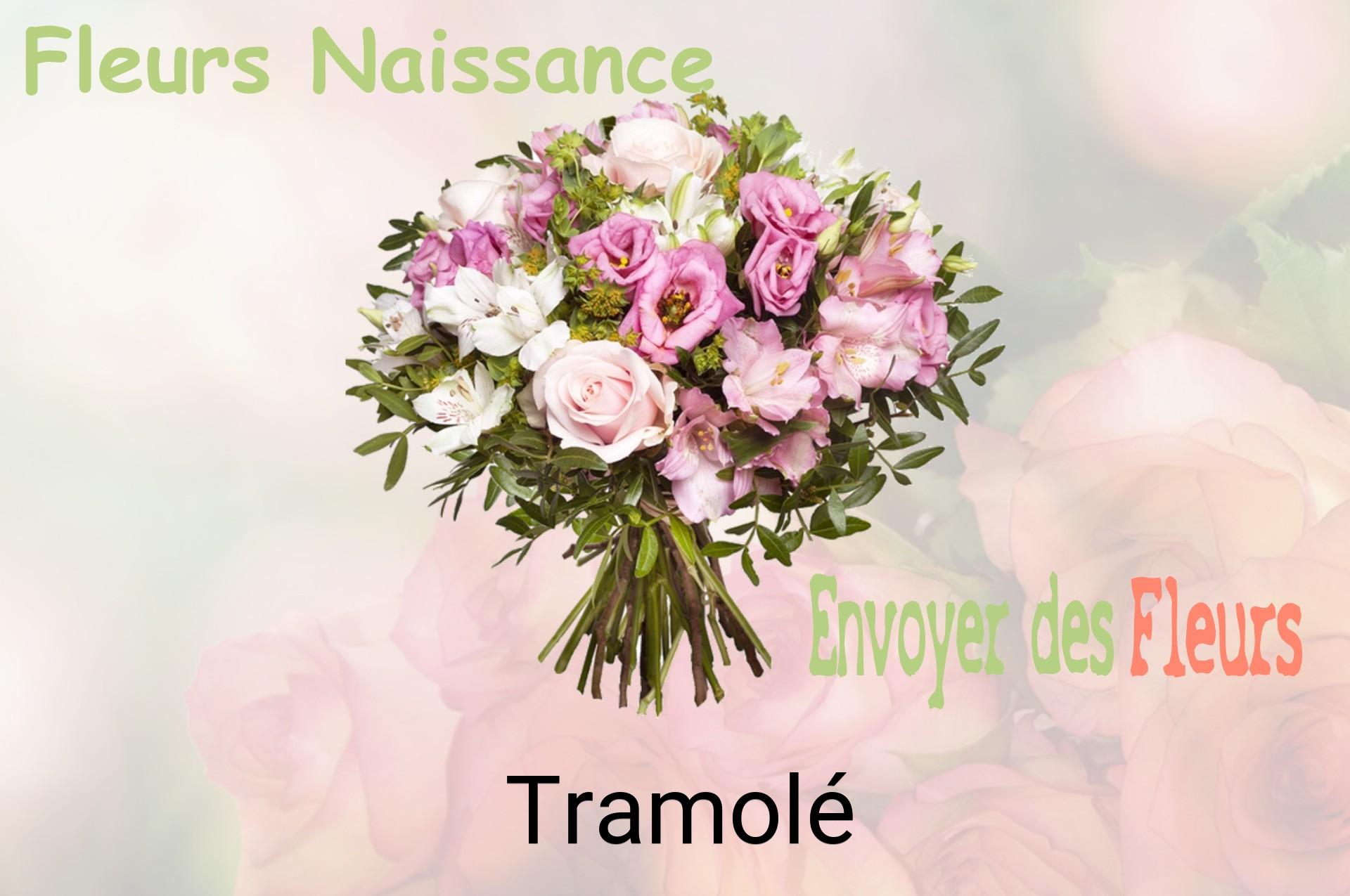 Bouquet de fleurs de naissance livré à Tramolé