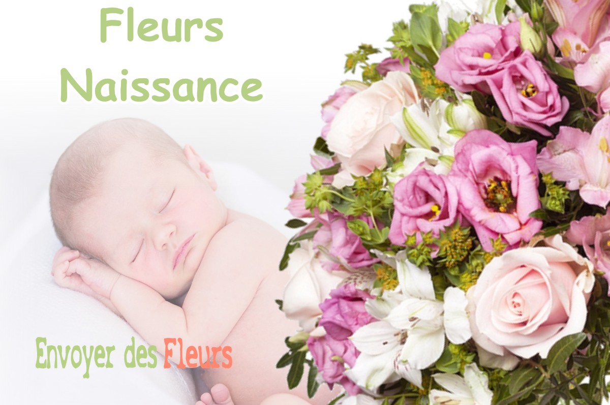 lIVRAISON FLEURS NAISSANCE à TRAMOLE