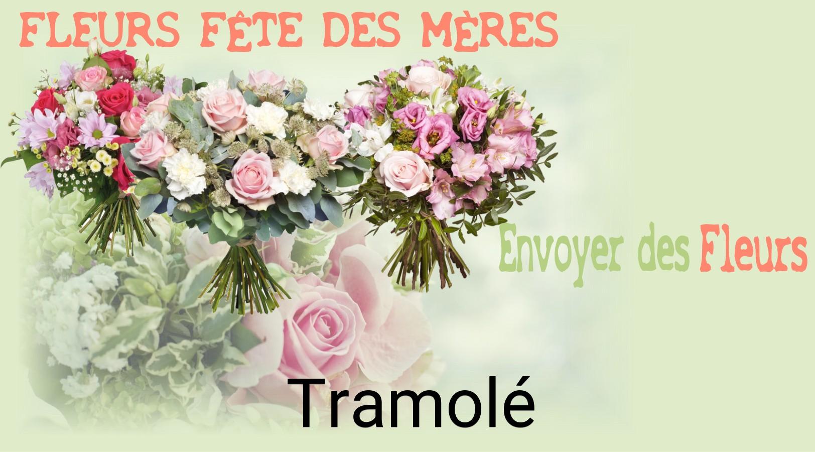 Bouquet de Fête des Mères livré à Tramolé